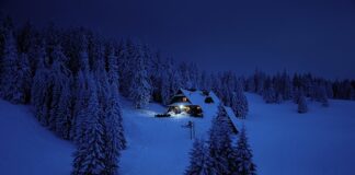 Jaki masz cel w życiu?