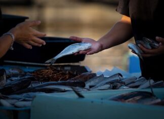 Jak zacząć sprzedawać za granicę?