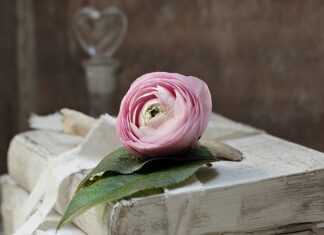 Czy pasywa to zobowiązania?