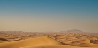 Ile kosztuje woda w Dubaju?