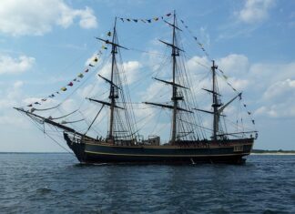 Co Polska eksportuje najwięcej? Co Polska eksportuje najwięcej?