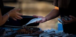 Czy mogę sprzedawać za granicę?