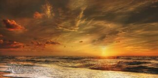 Kiedy złoty się umocni?