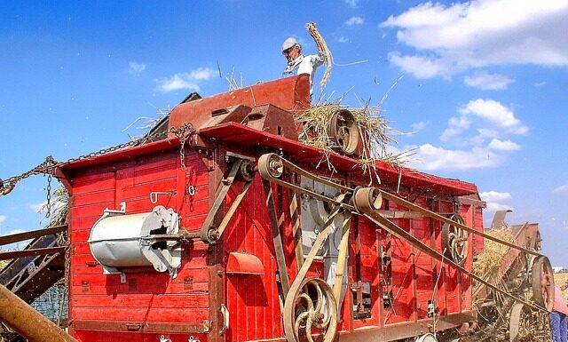 Jakich zawodów będzie brakować?
