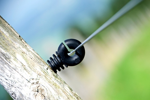 Dlaczego Hiszpanie nie lubią Polaków? Dlaczego Hiszpanie nie lubią Polaków?