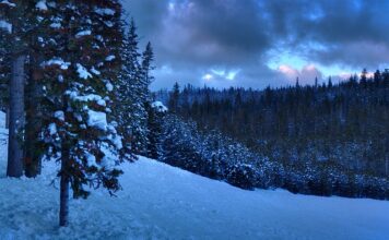 Jak zwracać się do osoby z licencjatem?