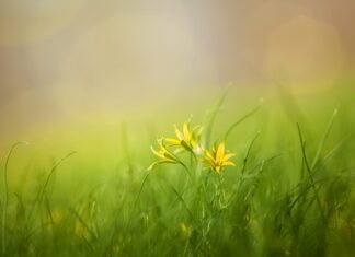 Jak radzić sobie z szokiem kulturowym? Jak radzić sobie z szokiem kulturowym?