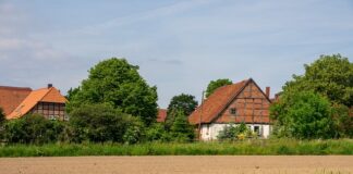 Co jest podstawą wymaganej wyceny wartości instrumentów?