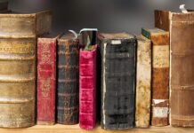 Czy historia to dobry kierunek?